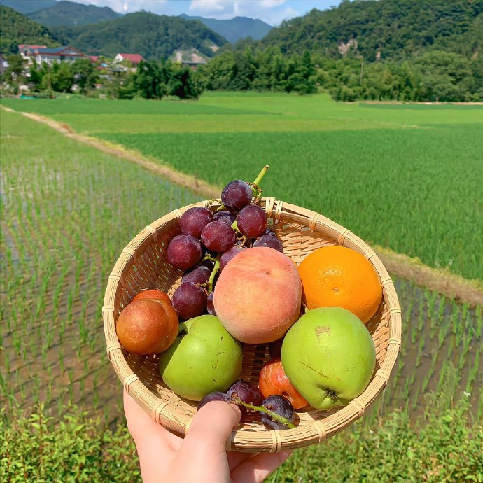 生产安全事故报告和调查处理条例